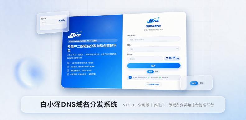 DNS域名分发系统 公测版 v1.0.0 欢迎测试